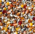 BA Red Rosette Mix